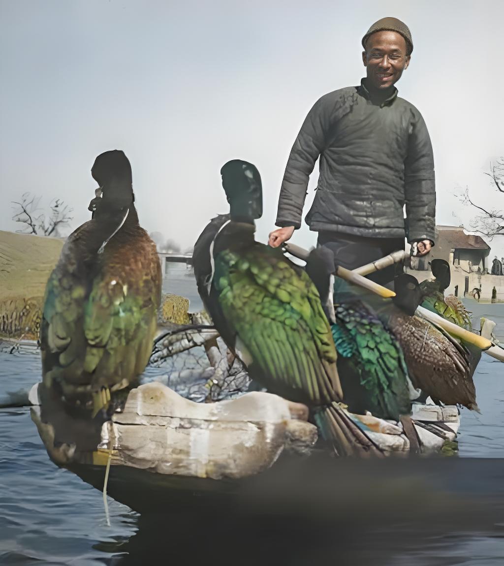 这是展现传统渔猎场景的黑白照片，一位身着传统服饰的人立于小船，船舷停歇着几只鱼鹰