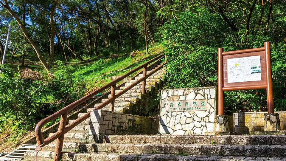 香港青衣自然径因基孔肯雅热暂停开放 政府加强灭蚊防控