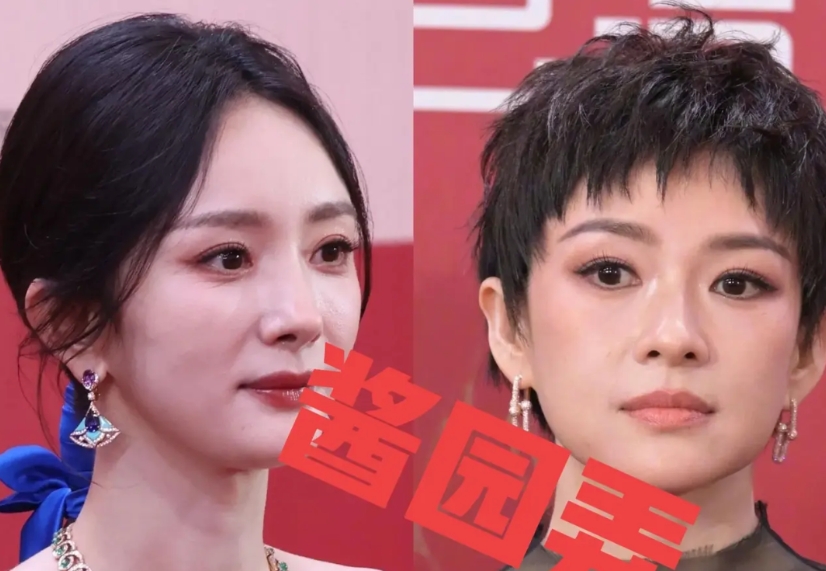 赵丽颖缺席上影节《酱园弄》剧组出席活动！有人说是经常缺席影视剧的宣传！是赵姐又做