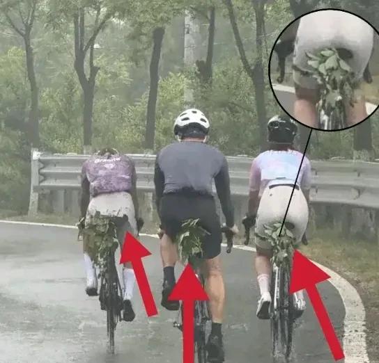 屁股长草有助于提高比赛成绩吗？