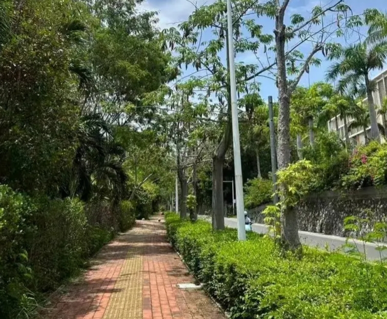 照片里的地方就是今年六一27岁女子被蛇咬的路段，三亚本地人看了说像鹿回头附近。