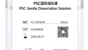 诱导性多能干细胞（iPSC）衍生细胞：脱发治疗的新希望