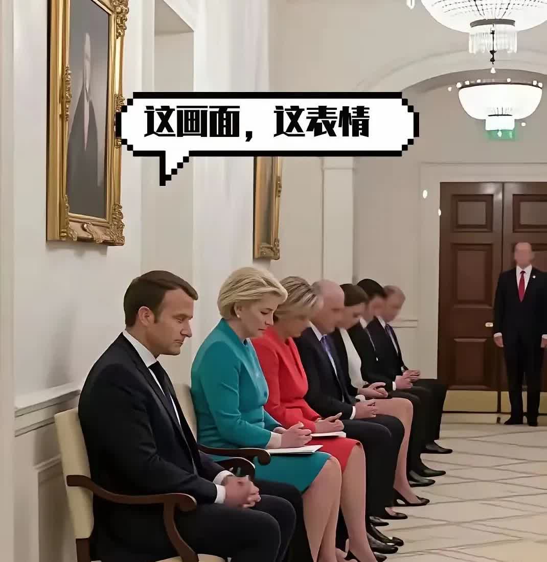 吵的轰轰烈烈的七位欧洲领导人，不是很牛逼的吗？
昂首挺胸去白宫，
进了屋里变