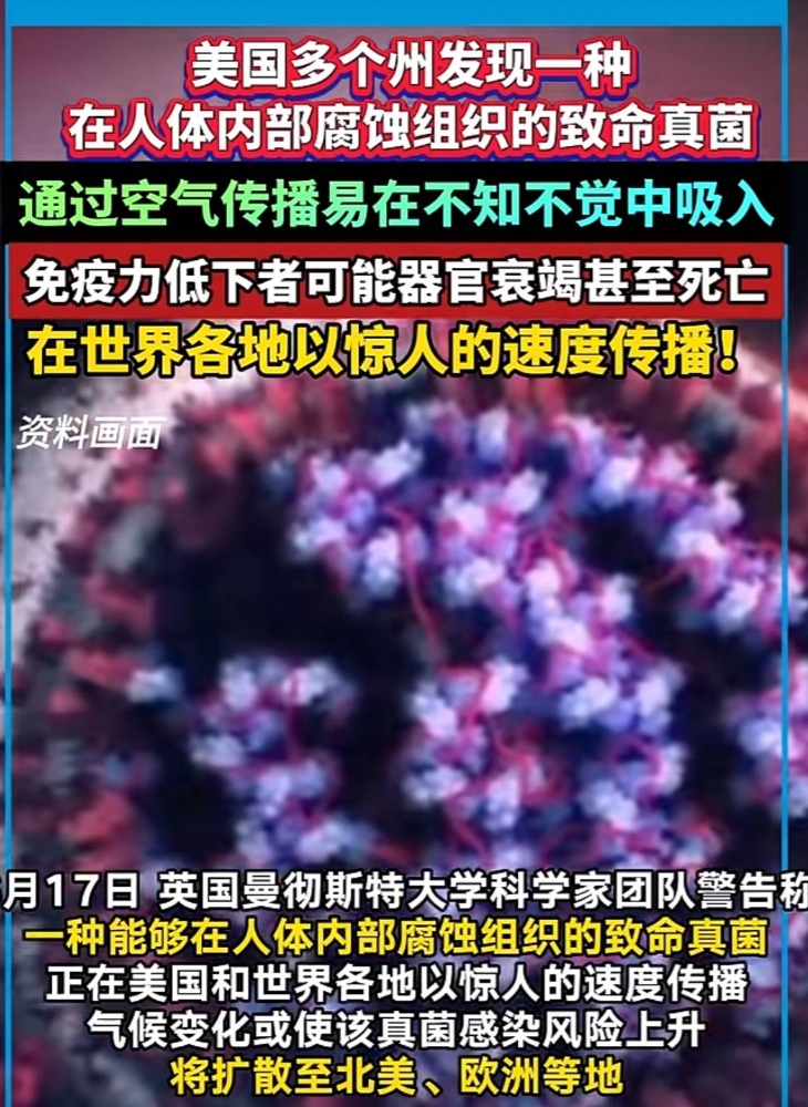 致命真菌蔓延美国多州，依靠空气无声息传播，可致人体从内部腐烂

近日，英国《每日