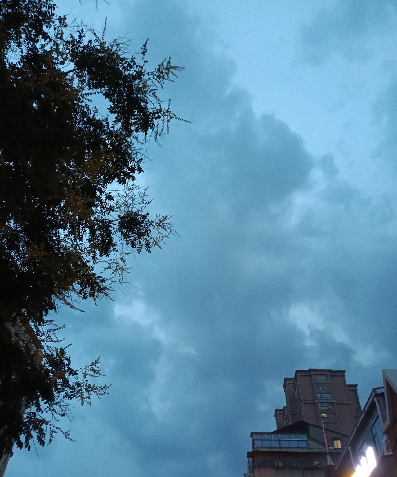 晚上7点钟左右从空调房间出来，下楼一看，天上有乌云，地上有北风，这是典型的送清凉