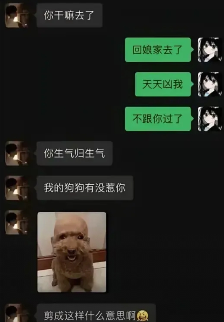 我处理不了你，我还处理不了你的狗吗？