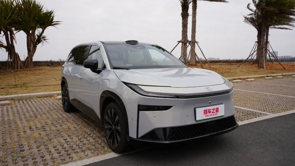 它们不愧新能源价格屠夫，看看都有谁？