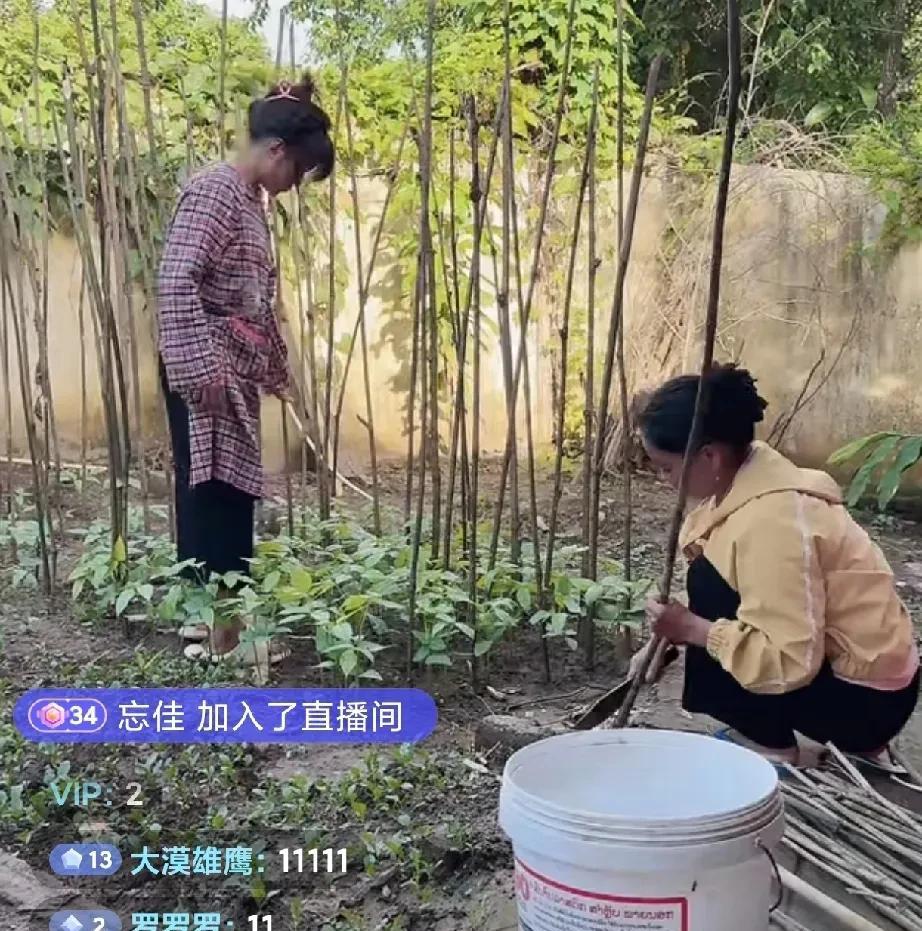 直播卖货被酒店喊停？小陈紧急解释原因！
今天上午，小陈带着家人在国内边境酒店开播