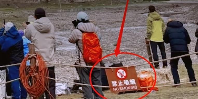 “感谢聪明的动物们的帮助”这句话听起来真的很滑稽。
动物们知道自己的家被炸还配合