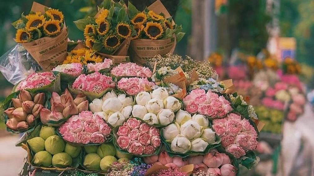 35年前，我是通过一篇漫画了解云南的