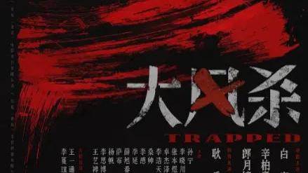 2025电影《大风杀》高清完整版在线观看 剧情片- VS影院《大风杀》完整版高清免费在线观看-星空影院《大风杀》