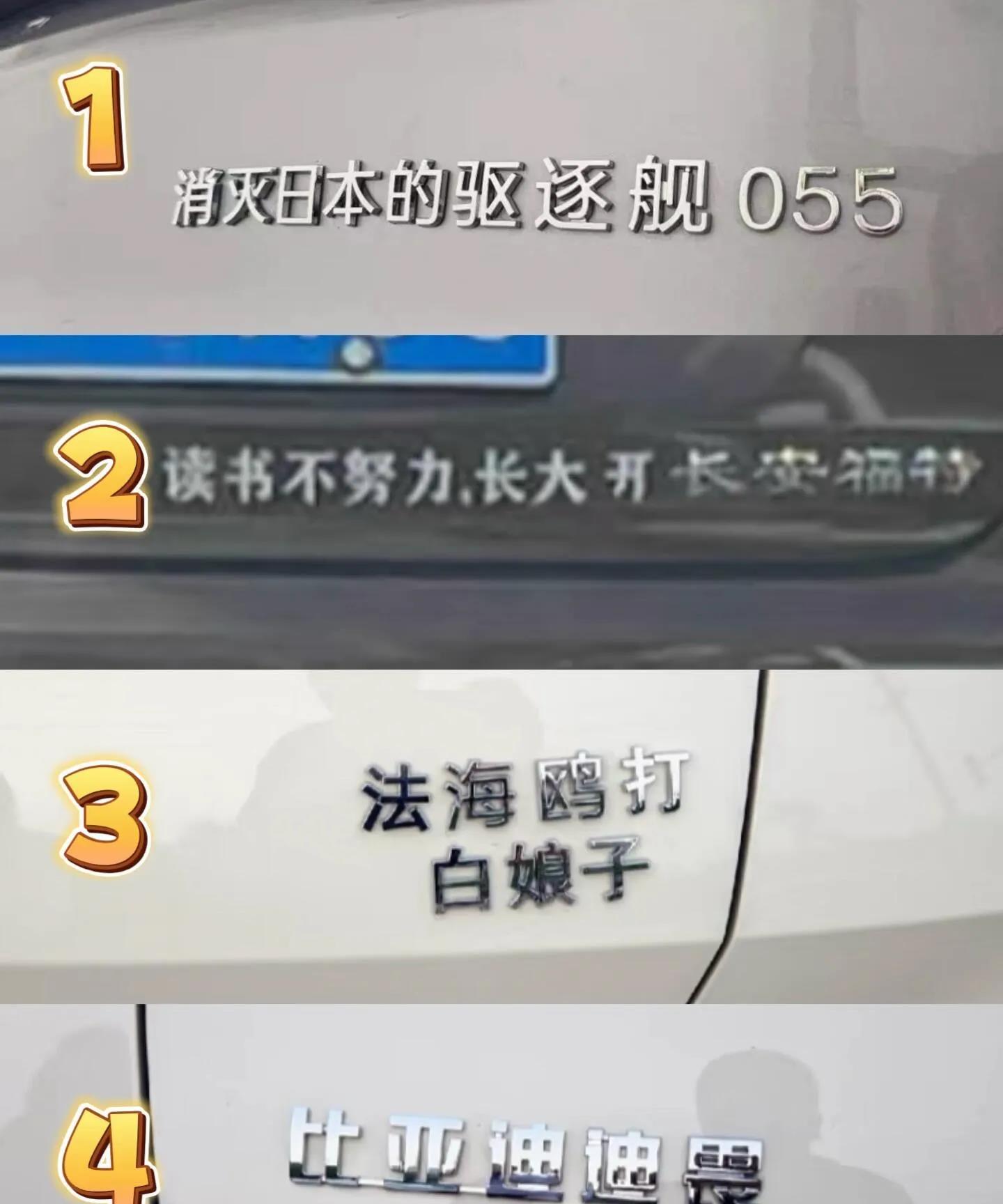 不得不说这届车主们是真有才