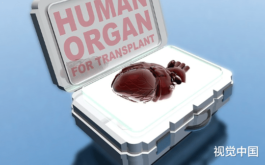 死后八年尸身曝光，我看着妻子带罪证自首