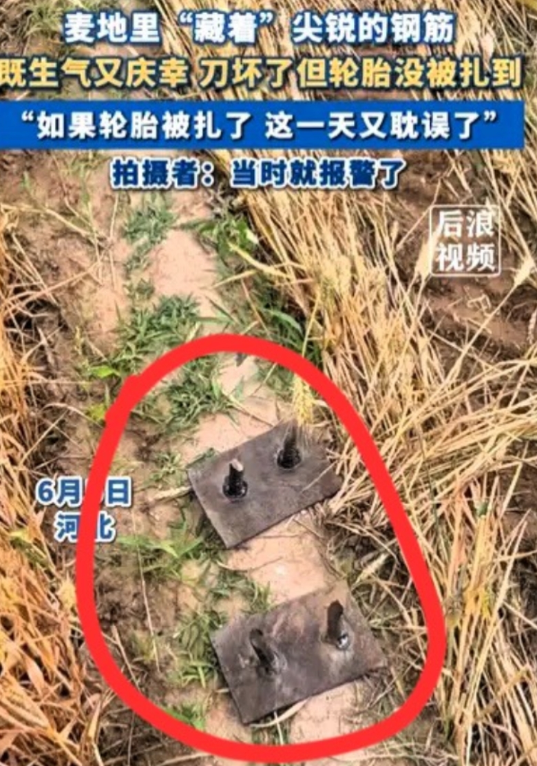 6月5日，河北女子收割麦子时发现麦田里有两根新焊的钢筋，担心扎坏收割机轮胎，于是