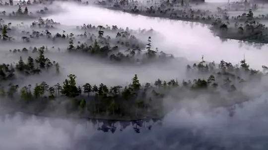    电影《家园》很好看，虽然是纪录片，但是非常不错。影片的开头画面非常唯美，远