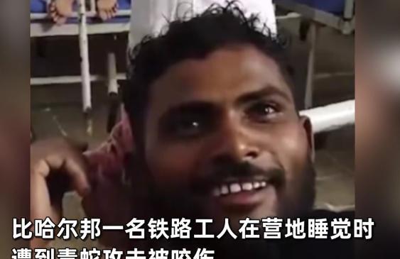这可不兴咬啊！2024年，印度男子准备睡觉时，突然被一毒蛇咬伤，没想到男子没有第