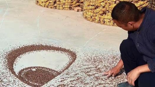 山东青年用小麦创作疯狂动物城画面，六小时作品获百万点赞