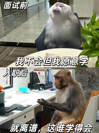 老板：你能为我们公司带来什么？ 你：给你带来一个教训，便宜没好货