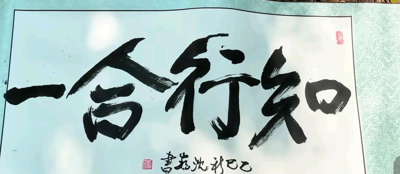 沈巍是当代社会“知行合一”的典范吗？
我认为他算是，人无完人，没有人能够做到完全