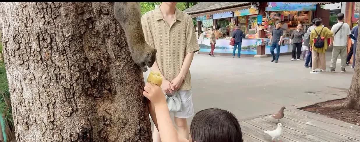 玉酱可能也有预感，杭州直播带货，是她直播带货生涯走到了“滑铁卢”。
玉酱为了这