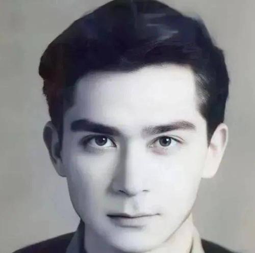 1963年，石油专家王德民，因为长得英俊，追他的女孩排成长队，他烦得眉头紧皱，放