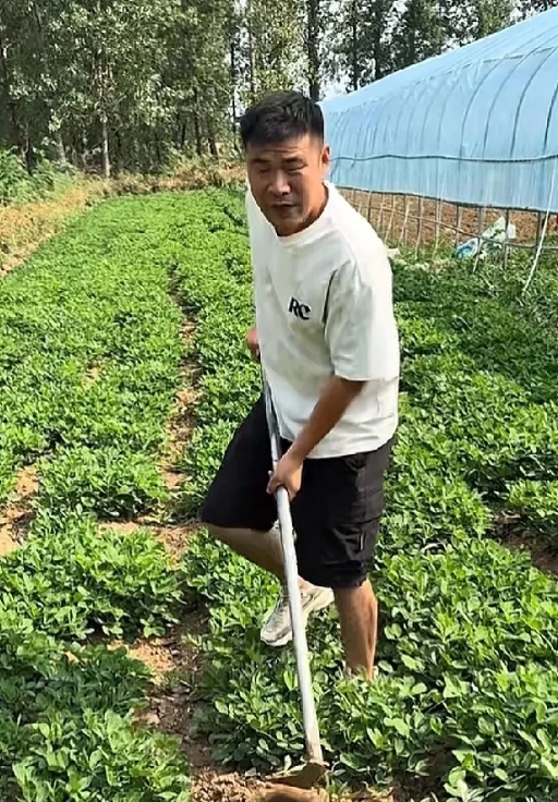 阿杜真的开始干活了吗！除了吃就是喝！

李佳出院回来，好多人都让李佳少干点活，让