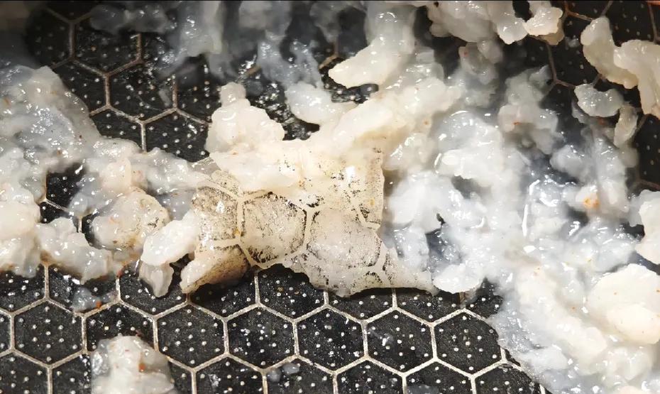 用家里蜂窝状的不粘锅做米饭，可是吃到最后，看到米饭上面印上了锅体表面的图案，这不