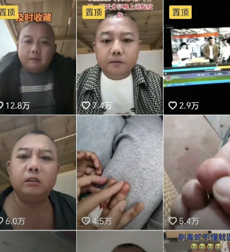 万万没想到
三亚一游客被蛇咬身亡
但是视频下面却火了一个人，那就是做

野生动物