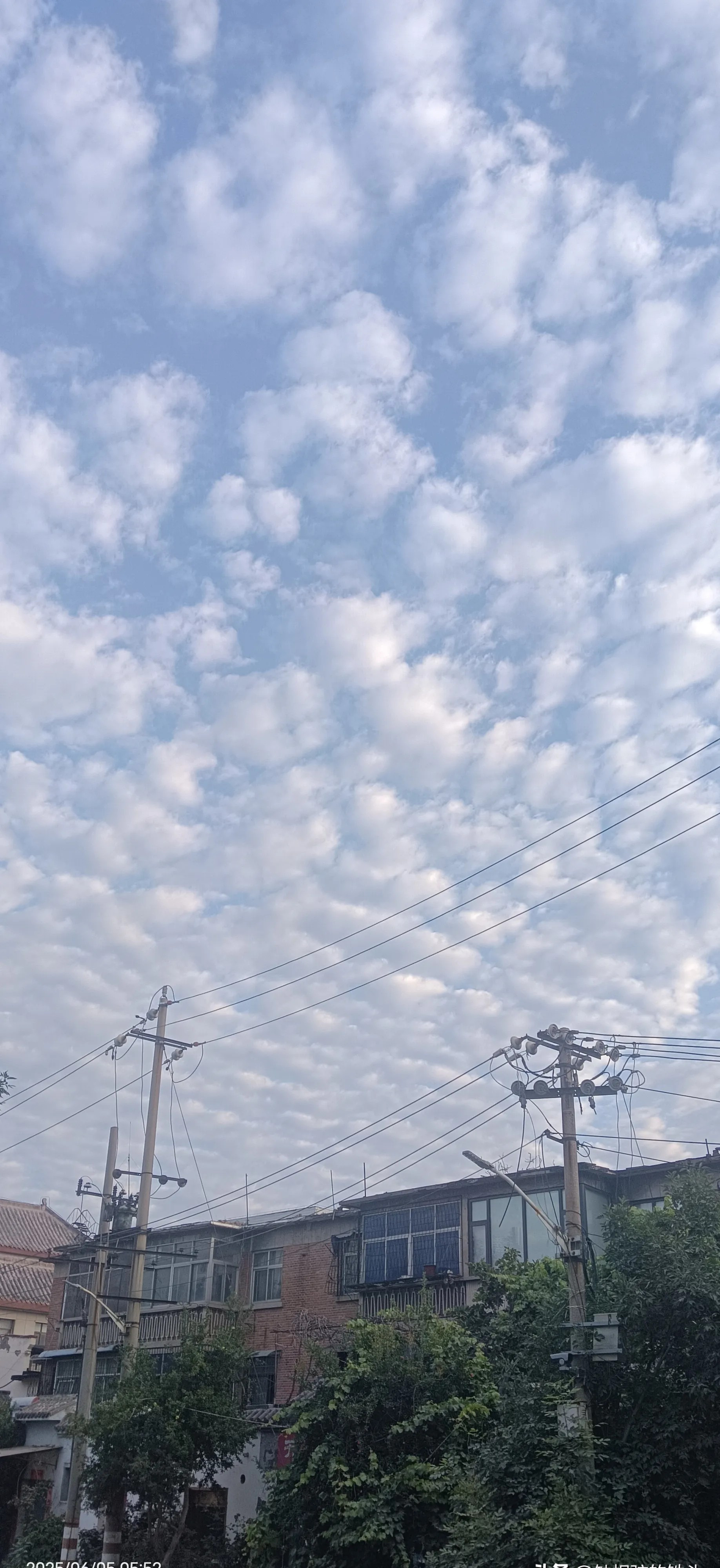 東北七月大地震，日本恐斷兩半











天要塌了！七月十六前，東北方