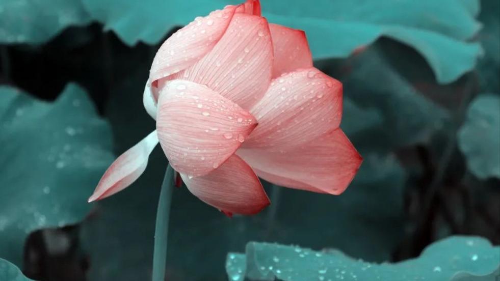 人活一辈子，总会有“丰年”和“荒年”