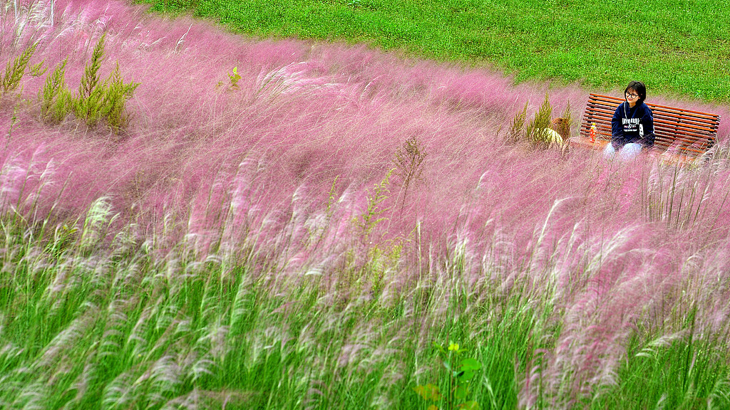 ​有句话说得好，高质量的孤独，远胜过低质量的社交