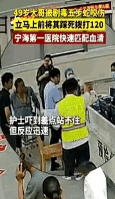 浙江一49岁男子被五步蛇咬伤后，一脚将其踩死，随后淡定的拎着蛇前往医院就医，当医