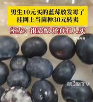 “赚大发了！”湖北武汉，一男子花10元买了盒蓝莓，带回寝室后忘了吃发霉了，男子灵