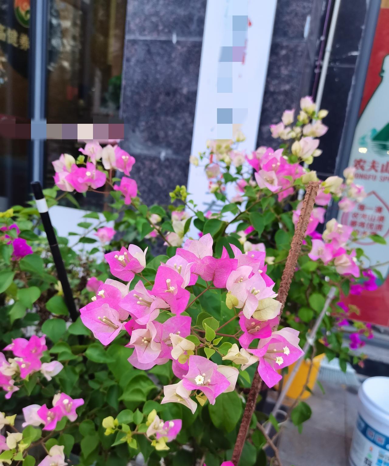 婆婆真能惯10年没洗过一次碗，换我肯定不行。
女儿嫁过去已经10年了，从来没洗过