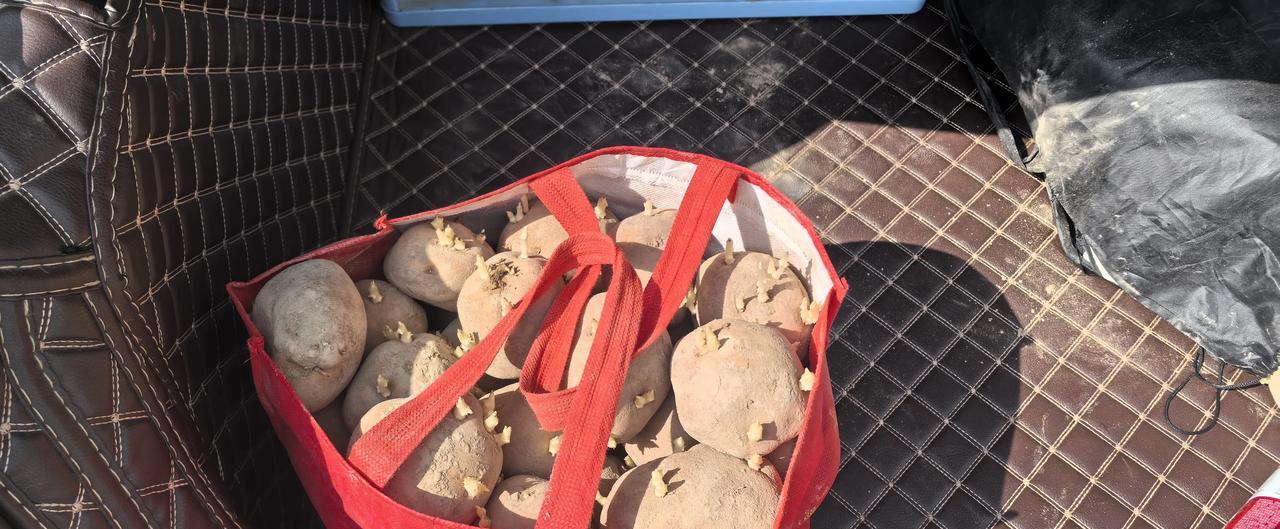 吃饱了很多简单的问题就变成了安全问题！给朋友带点土豆，因为两个人时间没有统一到一
