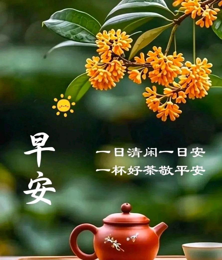 [玫瑰]早上好[玫瑰]
一日清闲一日安
一杯好茶敬平安
盛夏多保重，祝福送健康。