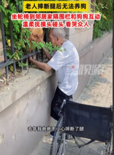 好心酸！江苏，一个大爷喜欢养狗，但是因为摔断腿很久都没有痊愈，所以无法养狗，万万