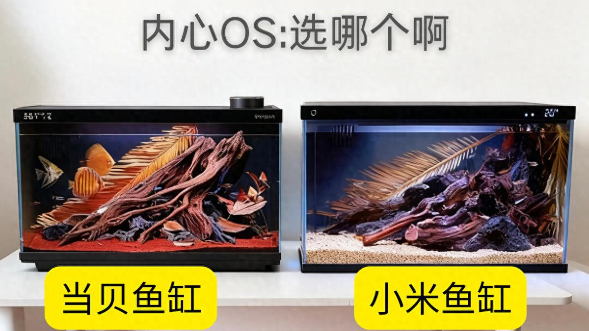 别被颜值骗了！当贝智能鱼缸1S Ultra对比小米，实测建议收藏