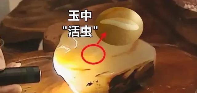 2009年，云南一男子喝茶时无意间看了一眼博古架，突然发现自己收藏的古玉中有一条
