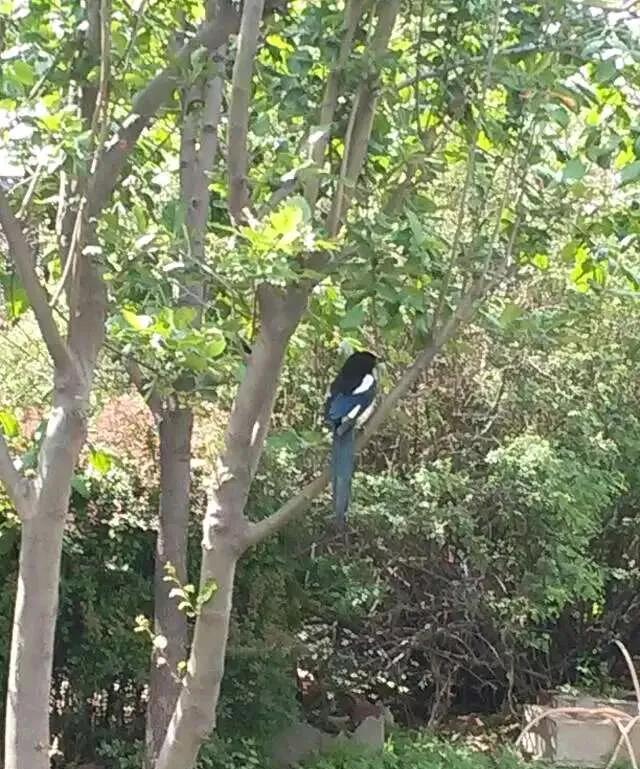 #分享一张最近随手拍的照片#
