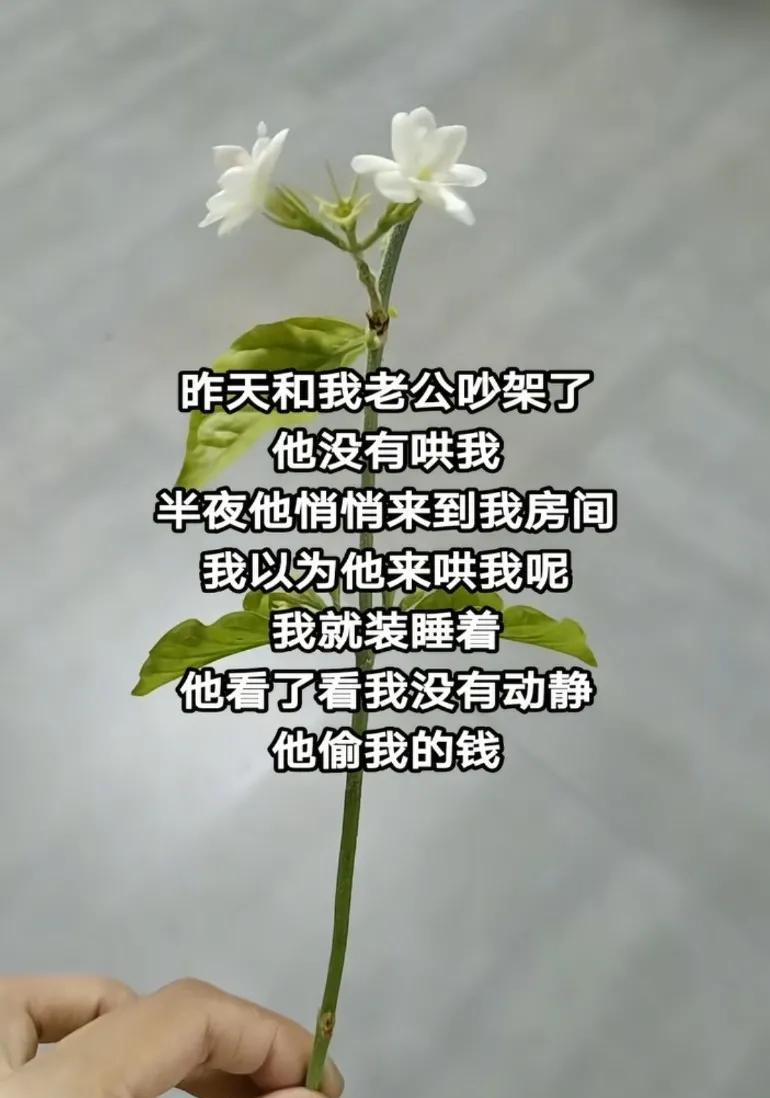 昨天和老公吵架没有哄老婆，半夜来到房间，以为来哄就装成睡着了，结果他偷老婆的钱