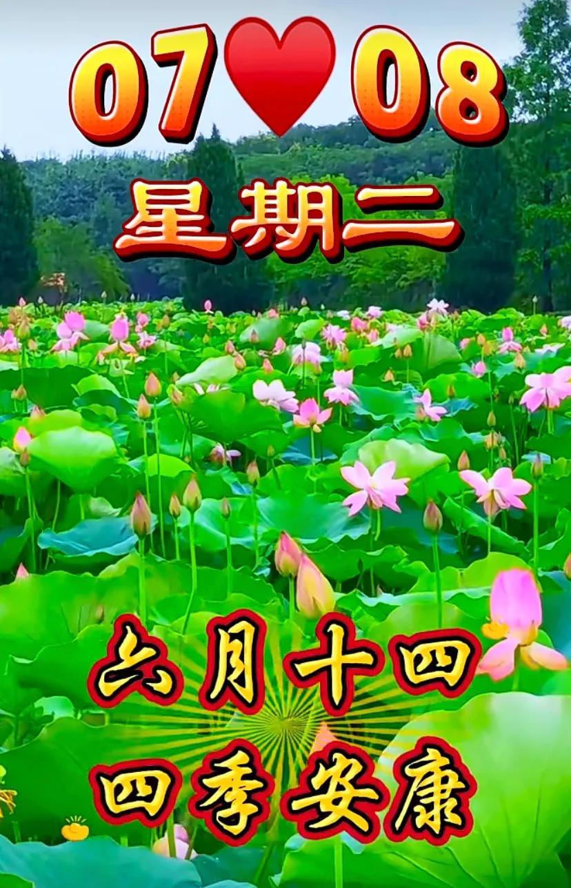 清凉一夏，健康快乐每一天