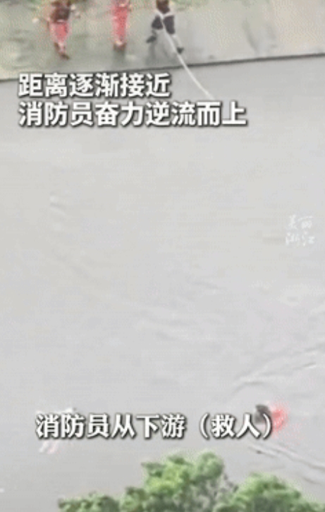 “怎么能这么聪明！”广东，一女子不小心掉入洪水，眼看几乎将她淹没，然而女子却并不