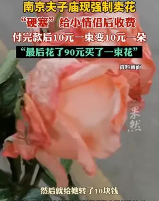 江苏南京，男子施某为哄女友开心一起到景区玩 ，被卖花女突然塞进怀中9朵蔫头耷脑的