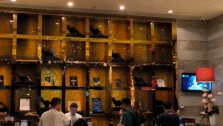 拜托，所有酒店都学学这家的“24小时退房制”吧