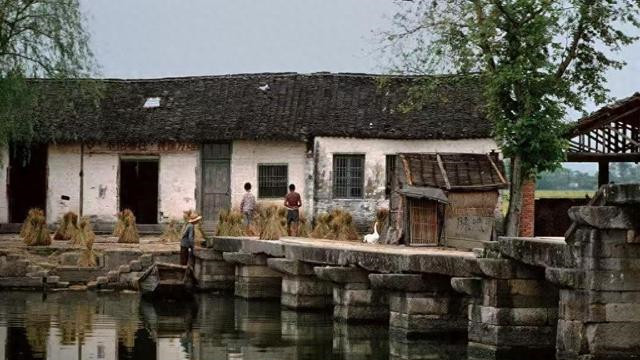 56岁阿姨的抉择：父亲离世后，母亲让我放弃家产，还想跟我回家养老