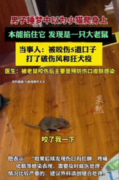 “太吓人了！”江苏，一男子在睡梦中听到床头有声音，他以为是家里养的小猫，就顺手把