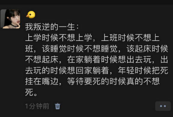  我叛逆的一生 ​​