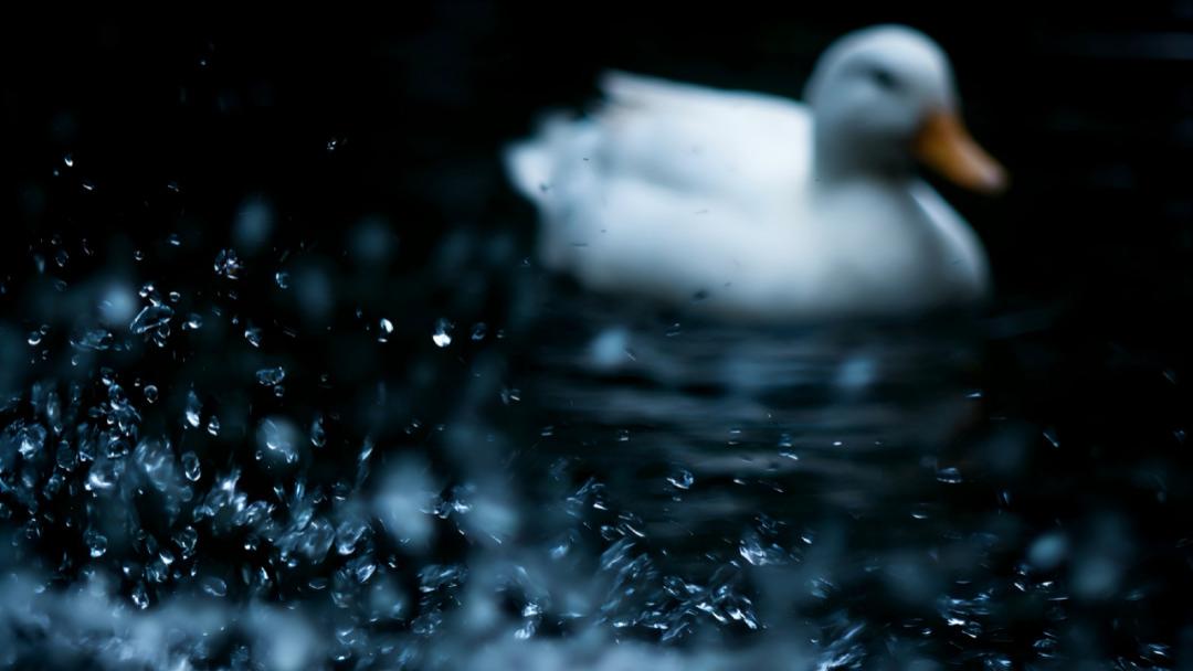 野熊谷深度指南：逛完这几处，不虚此行