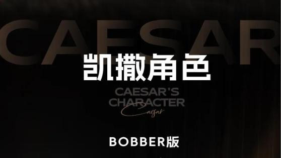 探底“渗透定价”23988元，从赛科龙RA600看行业现象